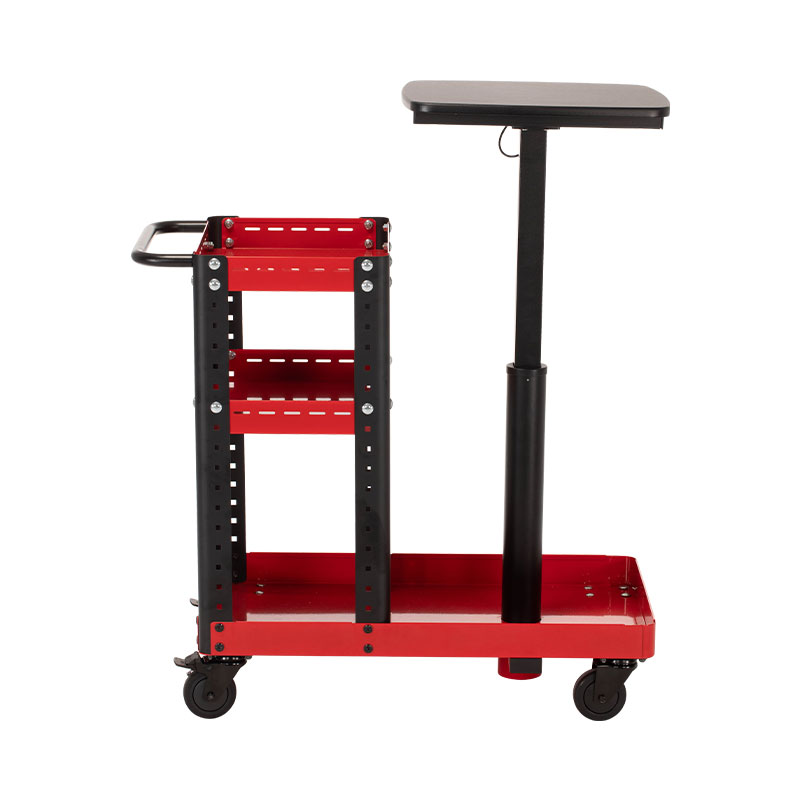Diagnostic Mobile Workstation With Lifting Table
