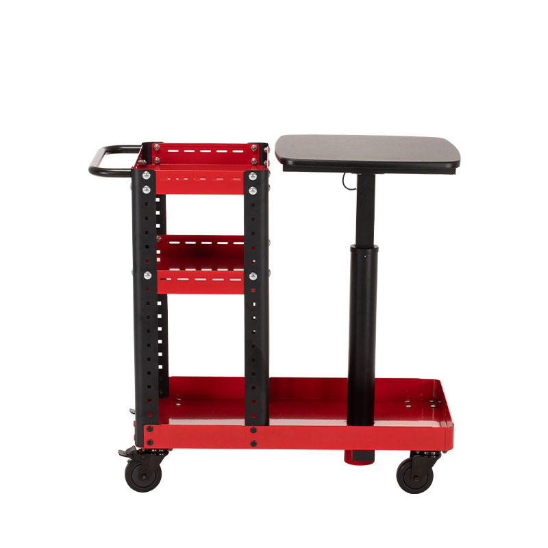 Diagnostic Mobile Workstation With Lifting Table