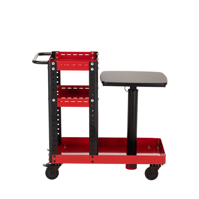 Diagnostic Mobile Workstation With Lifting Table